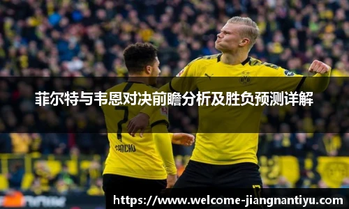 菲尔特与韦恩对决前瞻分析及胜负预测详解